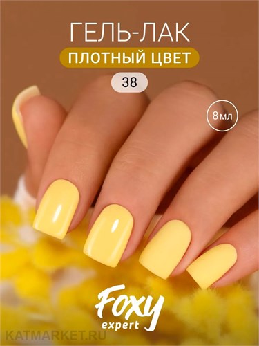 Foxy 8г Гель-лак 38 13807038