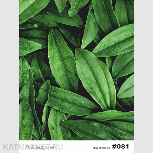 Фотофон 30х40см fn 81 60827081