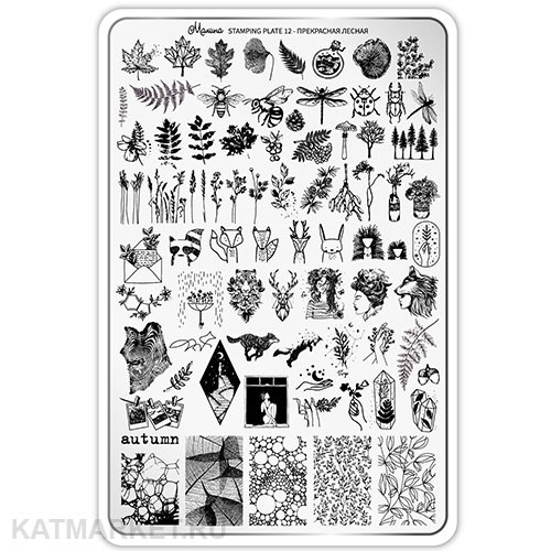 Малина Пластина для стемпинга 12 "Прекрасная лесная" (без демо-листа) 60513012
