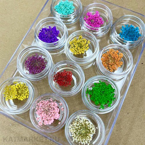 Сухоцветы в баночке, набор 12 цветов 61007001