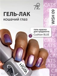 {{photo.Alt || photo.Description || 'Ta2 9мл Wish 09 Кошачий глаз'}}