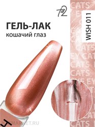 {{photo.Alt || photo.Description || 'Ta2 9мл Wish 11 Кошачий глаз'}}