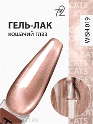 {{photo.Alt || photo.Description || 'Ta2 9мл Wish 19 Кошачий глаз'}}