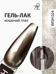 {{photo.Alt || photo.Description || 'Ta2 9мл Wish 24 Кошачий глаз'}}