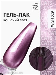 {{photo.Alt || photo.Description || 'Ta2 9мл Wish 29 Кошачий глаз'}}