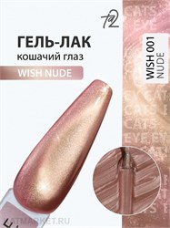 {{photo.Alt || photo.Description || 'Ta2 9мл Wish Nude 01 Кошачий глаз'}}
