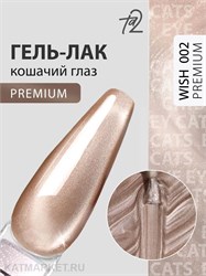 {{photo.Alt || photo.Description || 'Ta2 9мл Wish Premium 02 Кошачий глаз'}}