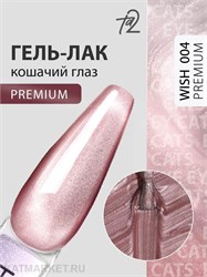{{photo.Alt || photo.Description || 'Ta2 9мл Wish Premium 04 Кошачий глаз'}}