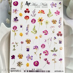 Aminails слайдеры wp 0001 61225001