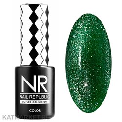 {{photo.Alt || photo.Description || 'NR 10мл Кошачий Глаз Northern Lights 93'}}