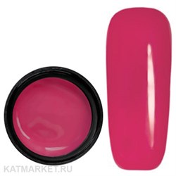 Elpaza 5мл Гель-краска 10 11201010