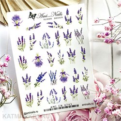 Aminails слайдеры cn 4743 61222743