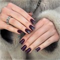 PN 8мл Axios 215 Plum Noir Гель-лак 10945215