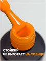 PN 8мл Neon Vibes 206 Гель-лак 12906206