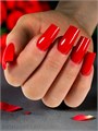 Grattol 15мл 70 Алый Builder Base Gel Strong Гибрид базы и геля 10642070