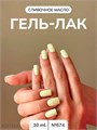 NR 10мл Гель-лак 674 New Classic Colors 11708674