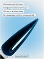 NR 10г 556 Витражный гель-лак Черный 11720556