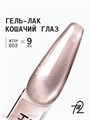 Ta2 9мл Wish 02 Кошачий глаз 13909002