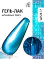 Ta2 9мл Wish 07 Кошачий глаз 13909007