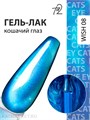 Ta2 9мл Wish 08 Кошачий глаз 13909008