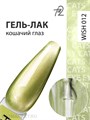 Ta2 9мл Wish 12 Кошачий глаз 13909012