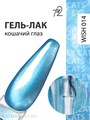 Ta2 9мл Wish 14 Кошачий глаз 13909014