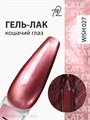 Ta2 9мл Wish 27 Кошачий глаз 13909027