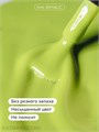 NR 10мл Гель-лак 801 Trends Matcha 11708801