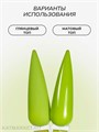 NR 10мл Гель-лак 801 Trends Matcha 11708801