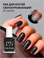PN 11мл Лак для ногтей 502 После полуночи, светоотражающий 12919502