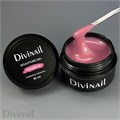 Divinail 30мл Sculpture Gel 42 12323042