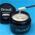 Divinail 30мл Sculpture Gel 17 12323017