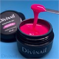 Divinail 30мл Sculpture Gel 25 12323025