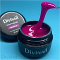 Divinail 30мл Sculpture Gel 27 12323027
