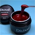 Divinail 30мл Sculpture Gel 23 12323023
