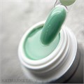 PN 15г Fluid Moss Камуфлирующий цветной гель 10902414